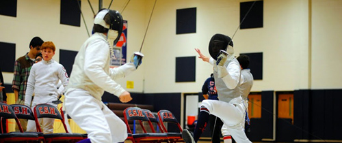 Fencing Photo